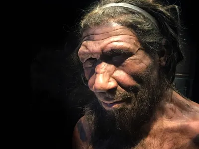 Though the differences between Neanderthals and Homo sapiens may seem pronounced, scientists didn't always embrace the idea that humans evolved from other species.