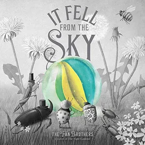 Preview thumbnail for 'It Fell from the Sky