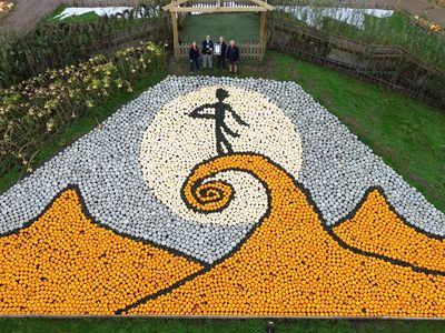 The record-breaking Nightmare Before Christmas&nbsp;mosaic at&nbsp;Sunnyfields Farm is made from several types of pumpkins and squash in various colors.