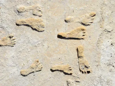 Fossilized footprints in White Sands National Park