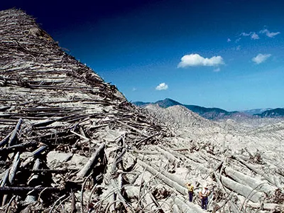 Heavily forested slopes near Spirit Lake were devastated by the eruption as shown in this photo in 1982.