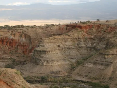 Nearly a century ago, archaeologists started to shift the focus of human origins research from Europe to Africa’s ‘cradles of humankind’ like Oldupai (Olduvai) Gorge in Tanzania.

