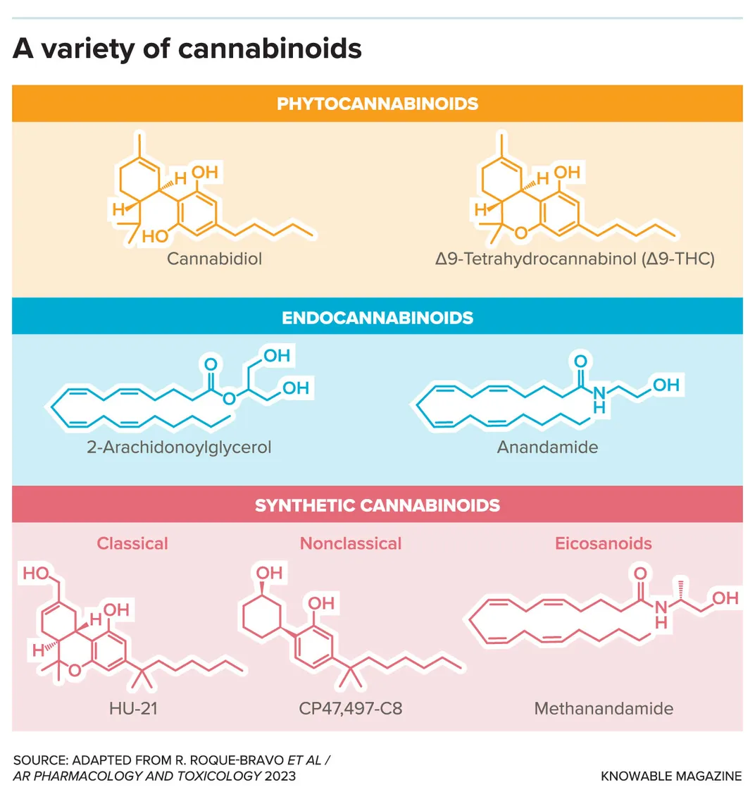 Cannabanoid Variety Graphic