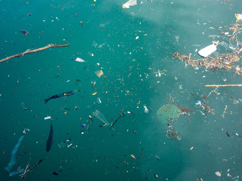 plastic pollution in ocean