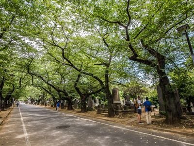 Many of the tombs in Japan are elaborately decorated. Nearby visitors can buy flowers, buckets. brooms and other gardening tools to tidy up the graves.