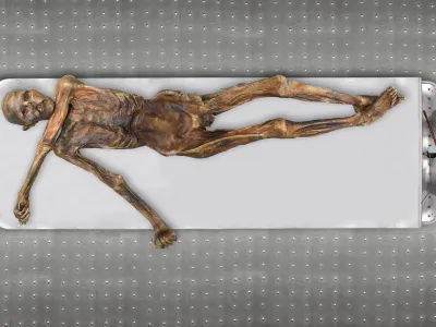 The Tyrolean Iceman &Ouml;tzi is one of the oldest known human glacier mummies.