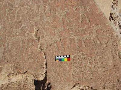 The Cruces de Molinos site in the Chilean Andes contains rock art depictions of llama caravans, possibly marking a ceremonial site for caravaners passing through the mountains. 