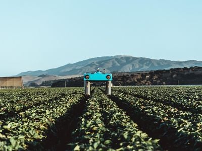 Can a machine be taught to understand the plant world?