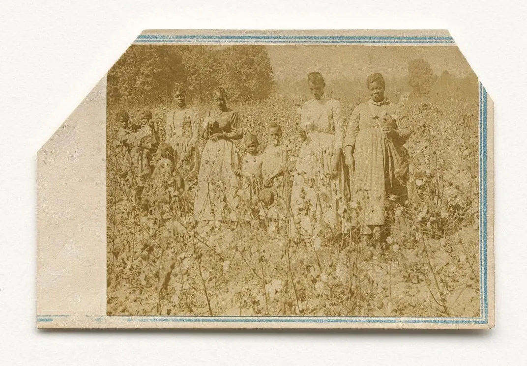 Women and children in a cotton field