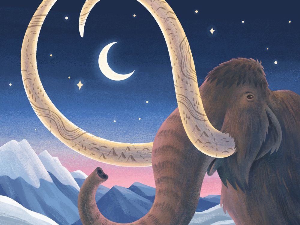 an illustration of a woolly mammoth in a night time mountainous scene