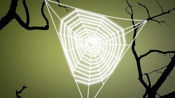 Preview thumbnail for Ask Smithsonian: How Do Spiders Make a Web?