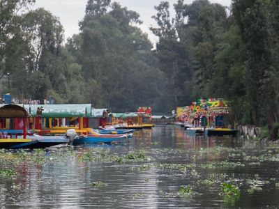 Trajineras boats float long the canals of Xochimilco.