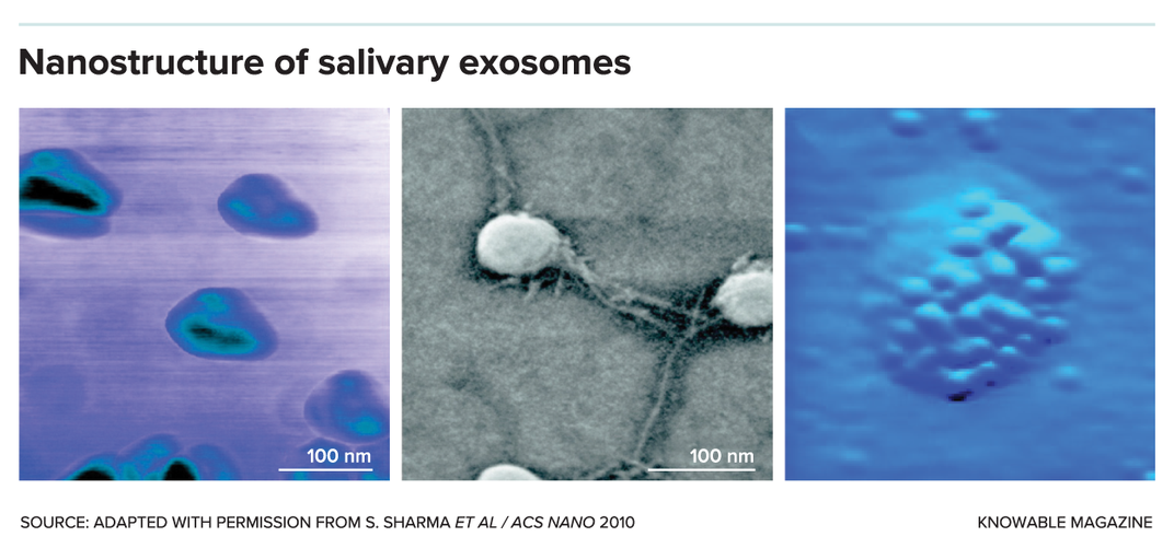 Is Saliva the Next Frontier in Cancer Detection?